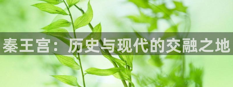 人人dvd影院：秦王宫：历史与现代的交融之地