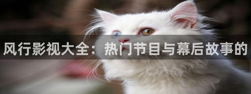 久久人人爽人人爽人人片a√：风行影视大全：热门节目与幕后故事的