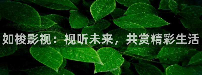 人人观影：如梭影视：视听未来，共赏精彩生活