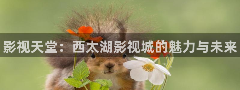 超级在线碰人人曰：影视天堂：西太湖影视城的魅力与未来