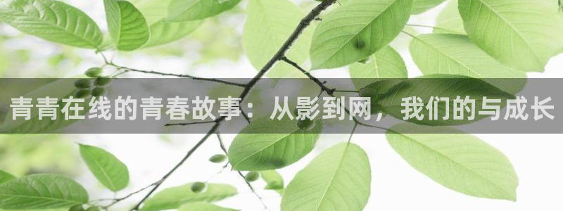人人免费看毛片：青青在线的青春故事：从影到网，我们的与成长