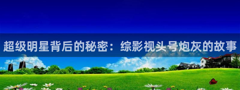 人人在线视频播放：超级明星背后的秘密：综影视头号炮灰的故事