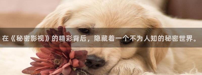 人人影院app：在《秘密影视》的精彩背后，隐藏着一个不为人知的秘密世界。